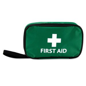 HSE 1 Person First Aid Kit in Small Green Pouch
